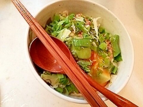 納豆と野菜の丼